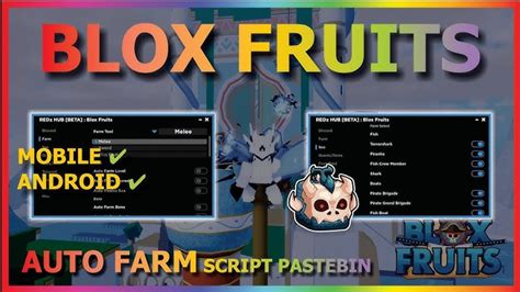 Image result for Blox Fruit AutoFarm Script Update 17