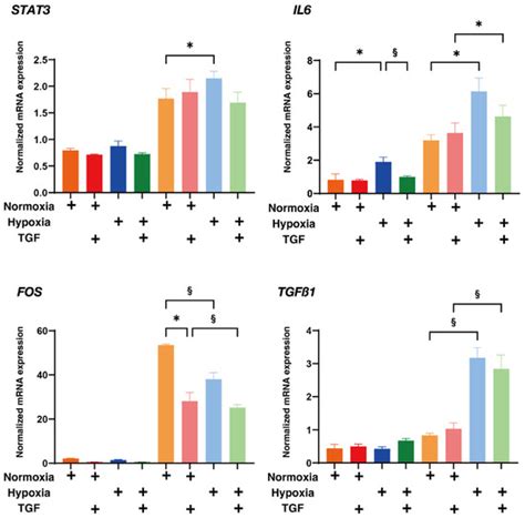 Hypoxia Differently Affects TGF-β2-Induced Epithelial Mesenchymal ...