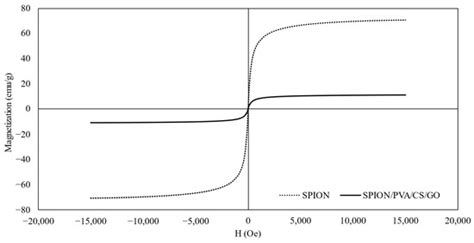 Surface Modifications of Superparamagnetic Iron Oxide Nanoparticles ...