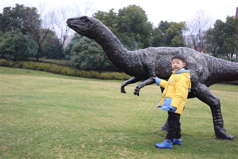 北京大型恐龙主题公园门票_北京大型恐龙主题公园_北京大型恐龙主题公园门票预定