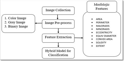 Image result for Model File Structure