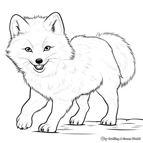 Arctic Fox Coloring Pages - Free & Printable!
