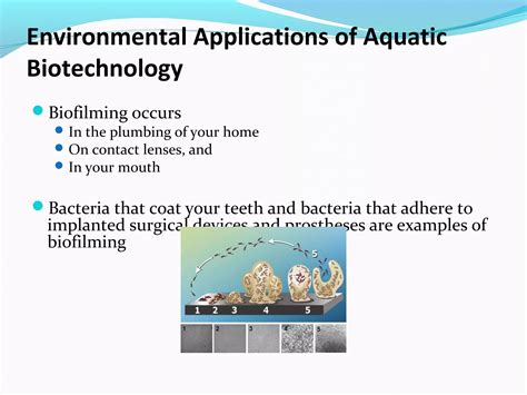 Aquatic Biotechnology 的图像结果