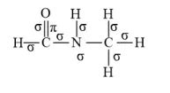 NCERT Solutions for Class 11 Chemistry chapter 12 Organic Chemistry ...