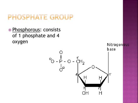 Image result for Phosphate Group Structure