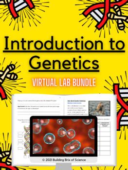Virtual Lab Genetics 的图像结果