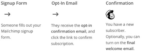 Image result for Double Opt-In MailChimp