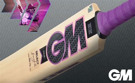 GM Haze Select Kashmir Willow Light Weight Cricket Bat with Cover for ...