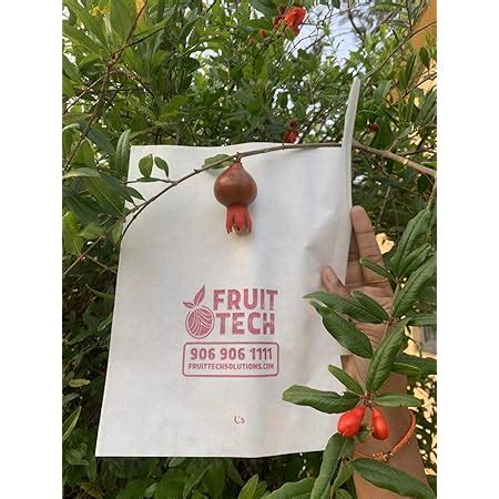 'Fruit TECH' Mango Protection/Growth Covers and Bags (Brickred) 17X20CM ...