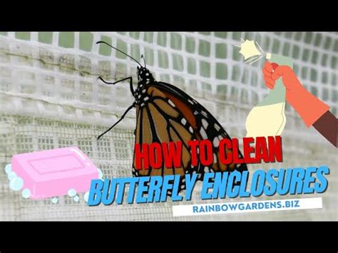 Image result for How to Clean Cuttlebug