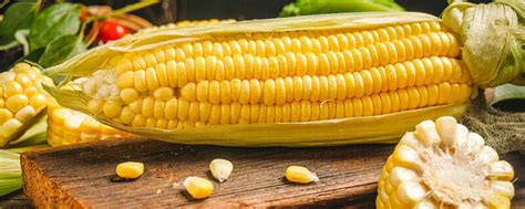 玉米测产方法及公式 - 说植物