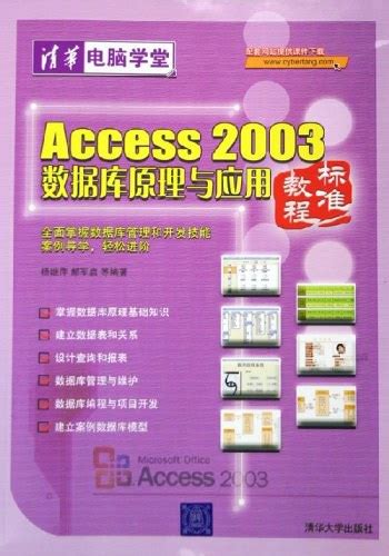 数据库应用基础--Access2003_百度百科