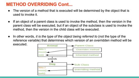 Polymorphism Java Code 的图像结果
