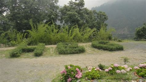 Himalayan Botanical Garden (Nainital) - 2021 What to Know Before You Go ...