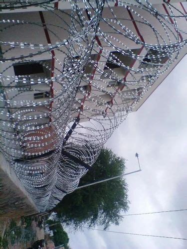 Concertina Coil - concertina coil rbt wire Wholesale Trader from Delhi