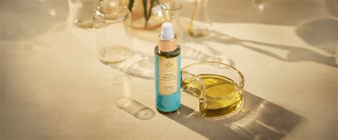 3 Herbs For Pain For Long Lasting Relief