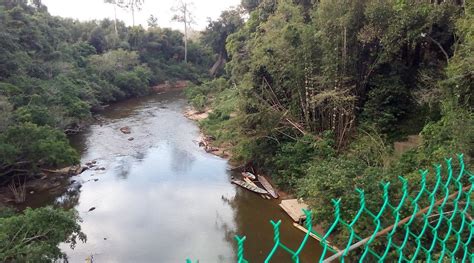 RIHLA HOTEL GUA MUSANG (Kelantan) - Guesthouse Reviews & Photos ...