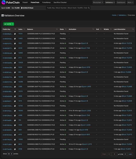 Image result for Pulse Chain Explained