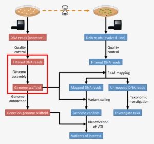 Image result for Annotation PNG