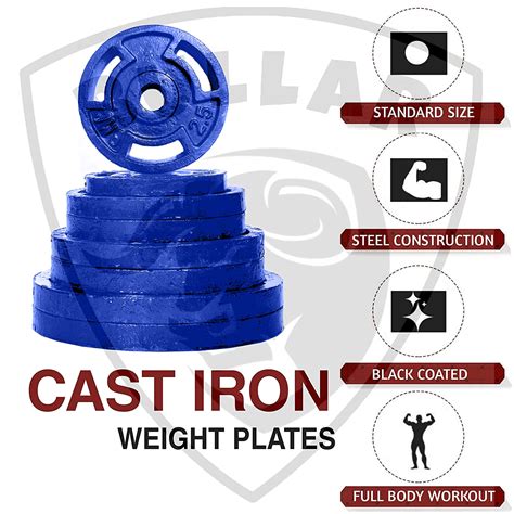 Cast Iron Weight Plates for Home Gym Exercises – Bullar Fitness