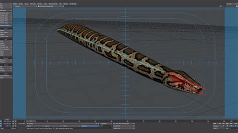 Image result for Burmese Python Animation