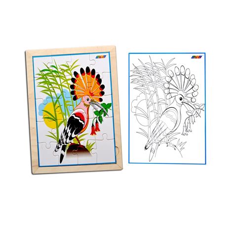 Buy Kidken Bird Jigsaw Puzzle With Colouring Sheet - SkilloToys.com