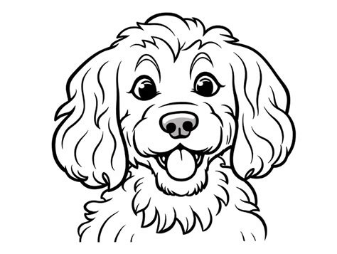 Image result for Cockapoo Drawing Sheet
