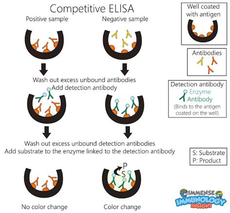 Image result for Competitive ELISA Protocol