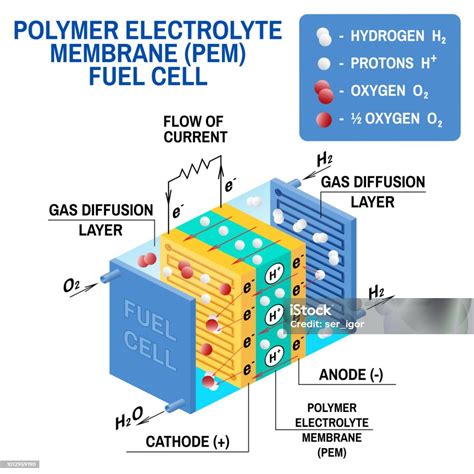 H2O2 Fuel Cell 的图像结果
