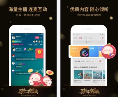 2019电台app排行榜 最受欢迎的FMAPP推荐_搜狗指南