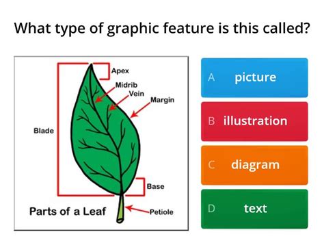 Image result for Text Feature Graphic