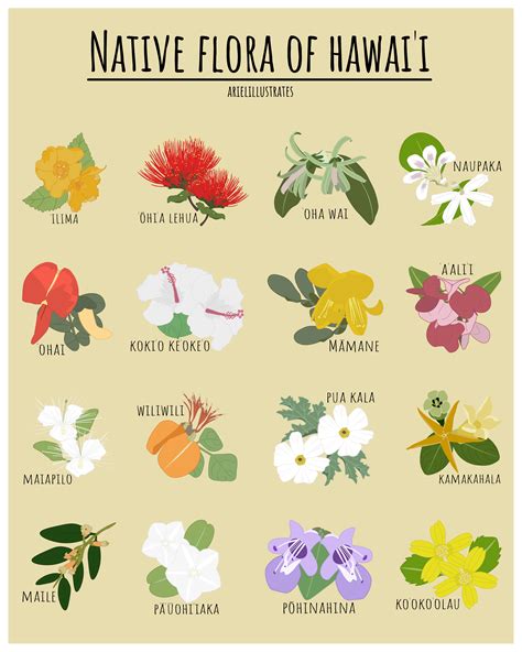 Hawaiian Flower Name