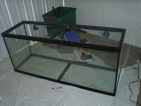 Image result for Reef Overflow Box