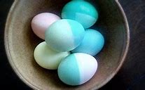 Image result for Cute Easter Bunny Faces