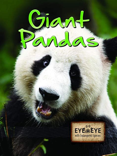 Giant Pandas (Eye to Eye with Endangered Species) : Greve, Tom: Amazon ...