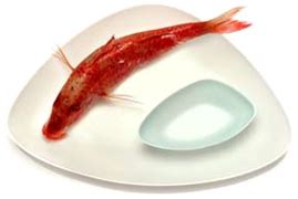 D'source Products Featuring Innovative Materials | Materials and ...