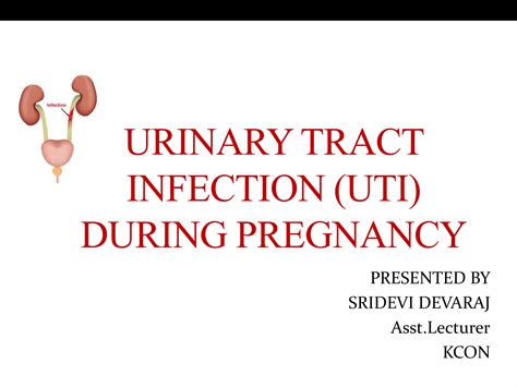 urinary tract infection during pregnancy | PPTX