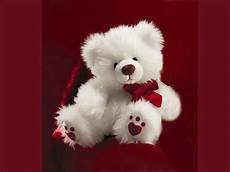 Teddy Wallpaper Hd Size by 25 Smart Looking Teddy Wallpapers Design Urge Teddy Wallpaper Hd Size