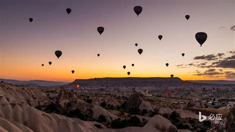 必应 的图像结果
