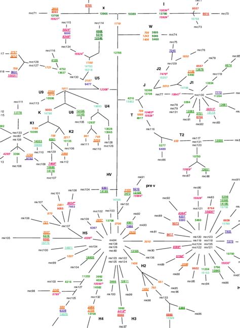 Image result for Coding Region