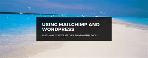 Image result for MailChimp Blog