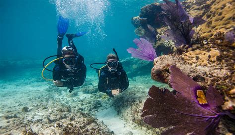 5 Most Dangerous Adventure Sports To Try Around The World - lifeberrys.com