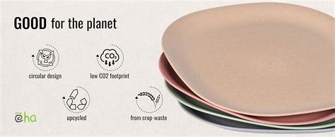 Buy Eha Set of 4 Earth-Friendly Square Dinner Plates |11 inch ...
