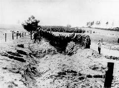 Image result for Ninth Fort Massacres of November 1941