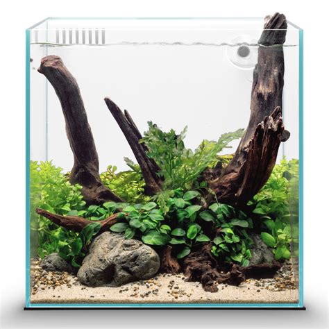 Amazon.com : Ultum Nature Systems Rimless All in One Aquarium - Cube ...