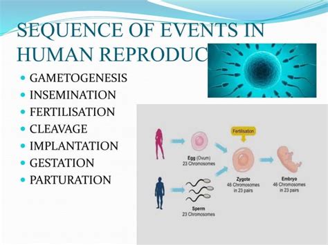 Image result for Human Reproduction SE