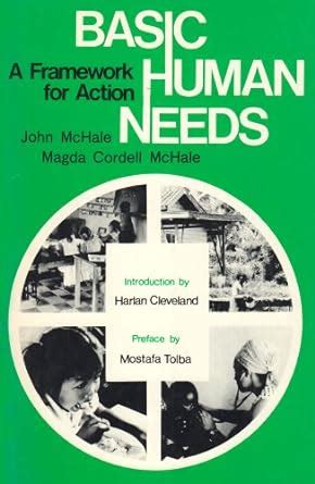 Buy Basic Human Needs: A Framework for Action Book Online at Low Prices ...