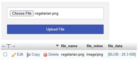 Image result for How to Store Files in Database MySQL Using PHP Code with Harry