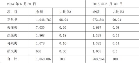 沈阳盛京银行商业贷款质量分析