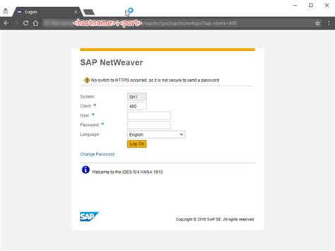 SAP GUI HTML 的图像结果